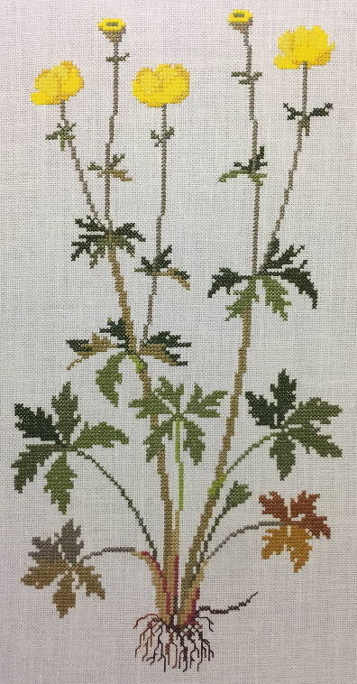 クロスステッチ キット 上級者 フレメ 【セイヨウキンバイソウ】 Haandarbejdets Fremme デンマーク 北欧 刺しゅう 輸入 送料無料 30-3718,05