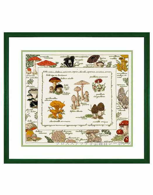 クロスステッチ刺繍キット 輸入 ルボヌールデダム Le Bonheur des Dames 刺しゅう The mushrooms キノコ フランス 上級者 1193