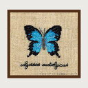 v`|hJLbg {k[f_ Le Bonheur des Dames hイ Miniature papillon bleu ulysses autolycus  tX ㋉ 3628