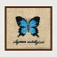 プチポワン刺繍キット ルボヌールデダム Le Bonheur des Dames 刺しゅう Miniature papillon bleu ulysses autolycus 蝶 フランス 上級者 3628