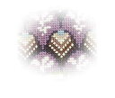 Reflets de Soie クロスステッチ刺繍チャート 図案 【Petit Bonheur n°13】 フランス PB13