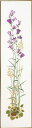 【送料無料】EVA ROSENSTAND ベルフラワー Klokkeblomster クロスステッチ キット デンマーク 北欧 刺しゅう 08-3596