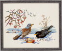 【DM便対応】EVA ROSENSTAND 冬の鳥 Vinterfugle クロスステッチ キット デンマーク 北欧 刺しゅう 92-543