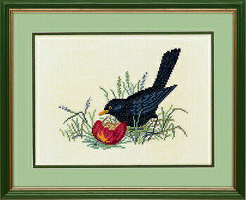 樂天商城 - EVA ROSENSTAND 黒い鳥と林檎 Blackbird and Apple クロスステッチ キット デンマーク 北欧 刺しゅう 海外 輸入 上級者 12-983