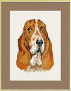 【DM便対応】EVA ROSENSTAND バセットハウンド Bassethund クロスステッチ キット デンマーク 北欧 刺しゅう 14-118