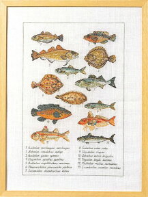 ペルミン クロスステッチ刺繍輸入キット 魚 Fish デンマーク Permin of Copenhagen 北欧 上級者 70-6408