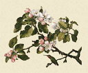 Martin Johnson Heade（マーティン・ジョンソン・ヒード） 名画 美術 芸術 絵画 芸術作品 クロスステッチ刺しゅうチャート 図案 【Hummingbird and Apple Blossoms】 Scarlet Quince リンゴ 林檎 りんご アップル 花 フラワー 春 ハチドリ 難しい 上級者 海外 輸入