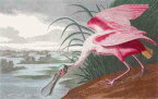 John James Audubon（ジョン・ジェームズ・オーデュボン） 名画 美術 芸術 絵画 芸術作品 クロスステッチ刺しゅうチャート 図案 【Roseate Spoonbill】 Scarlet Quince 鳥 水辺 ベニヘラサギ 難しい 上級者 海外 輸入