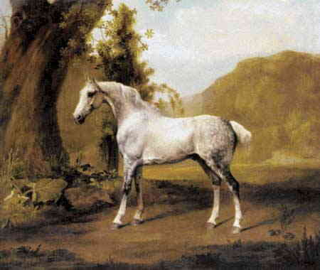 George Stubbs（ジョージ・スタッブス） 名画 美術 芸術 絵画 芸術作品 クロスステッチ刺しゅうチャート 図案 【A Grey Stallion in a Landscape】 Scarlet Quince アメリカ合衆国 馬 うま ウマ 上級者 海外 輸入