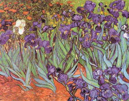 Vincent Van Gogh（フィンセント・ファン・ゴッホ） 1889年制作 名画 巨匠 ポスト印象派 画家 美術 芸術 絵画 芸術作品 クロスステッチ刺しゅうチャート 図案  Scarlet Quince 上級者 海外 輸入