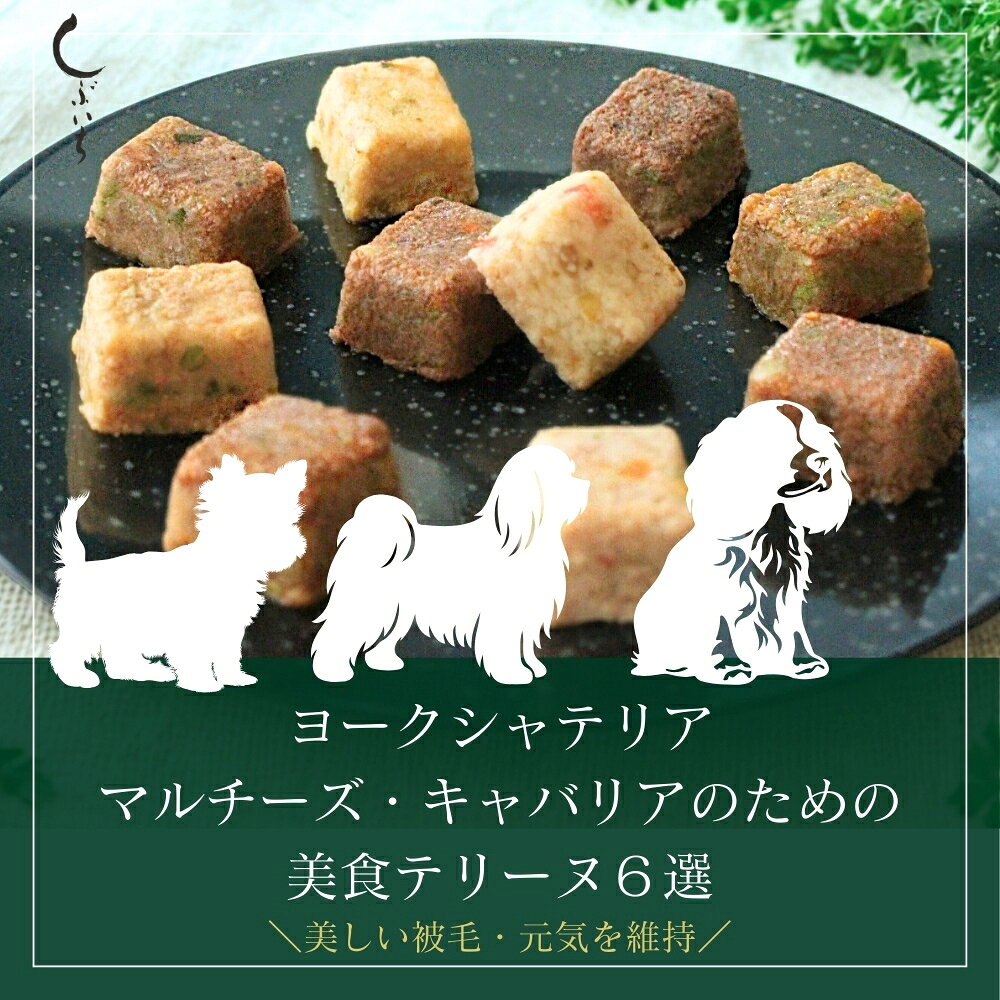 Rakuten - 【ヨークシャテリア・マルチーズ・キャバリアのための】美食テリーヌ6選（エミュー・イノシシ・合鴨・鶏・馬・内臓） 犬 猫 ドッグフード キャットフード 国産 野菜 無添加 トッピング 手作り 誕生日 バースデー 肉ケーキ トッピング お祝い ギフト プレゼント 送料無料