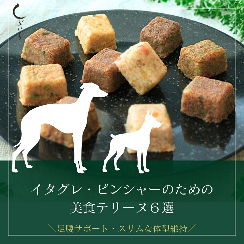 【ピンシャー・イタグレのための】美食テリーヌ6選（カンガルー・エミュー・イノシシ・合鴨・鶏・馬） ..