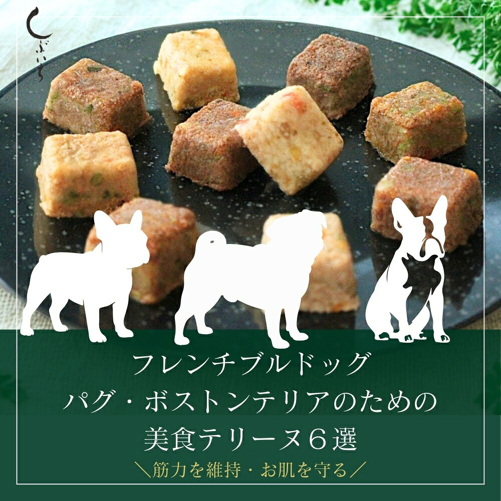 【フレンチブルドッグ・パグ・ボストンテリアのための】美食テリーヌ6選（クロコダイル・カンガルー・イノシシ・牛・馬・豚） 犬 猫 ドッグフード キャットフード 国産 野菜 無添加 トッピング 手作り 誕生日 バースデー 肉ケーキ トッピング ギフト プレゼント 送料無料