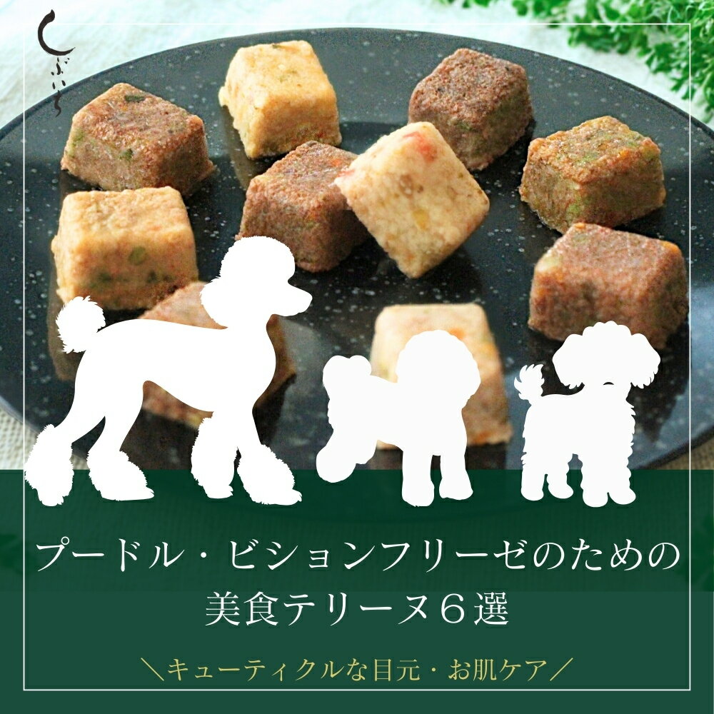Rakuten - 【プードル・ビションフリーゼのための】美食テリーヌ6選（エミュー・カンガルー・イノシシ・合鴨・鶏・馬） 犬 猫 ドッグフード キャットフード 国産 野菜 無添加 トッピング 手作り 誕生日 バースデー 肉ケーキ トッピング お祝い ギフト プレゼント 送料無料