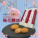 和菓子 梅まんじゅう 紀州南高梅入り 梅花饅頭 6個入 2箱セット 梅まんじゅう お饅頭 おまんじゅう お取り寄せ プチギフト バレンタインプチギフト プレゼン...
