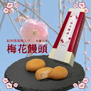 和菓子 梅まんじゅう 紀州南高梅入り 梅花饅頭 6個入 梅まんじゅう お饅頭 おまんじゅう お取り寄せ プチギフト バレンタインプチギフト プレゼント 贈り物 ...