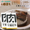 北海道 肉ソン大統領の肉デカビーフカリー 2個入りセット レトルトカレー 牛肉 ご当地 限定 ギフト お土産 お取り寄せ プレゼント テレビ紹介 キャンプ飯
