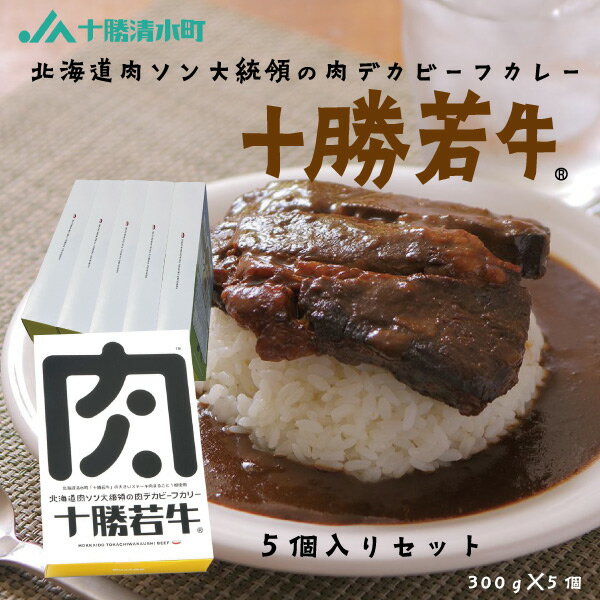 楽天渋沢逸品館北海道 肉ソン大統領の肉デカビーフカリー 5個入りセット レトルトカレー 牛肉 ご当地 限定 ギフト お土産 お取り寄せ プレゼント テレビ紹介 キャンプ飯