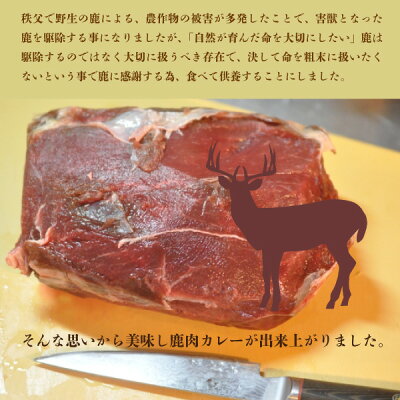 鹿肉カレー