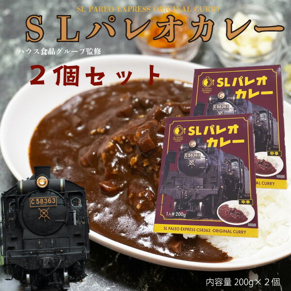 秩父鉄道 SLパレオカレー 200g レトルトカレー2個入りセット 国産牛肉 アウトドア ご当地 限定 ギフト お土産 お取り寄せ