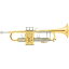Bach 180ML37/25 GL Bb ȥڥåȡ 2024 trumpet fair ȥڥå Bbȥڥå (ɳڴճڴ)