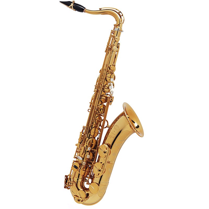 Selmer Paris 【新製品】テナーサックス セルマー Signature シグネチャー DARK SL(ダークシグネチャーラッカー) サックス テナーサックス (管楽器・吹奏楽器)