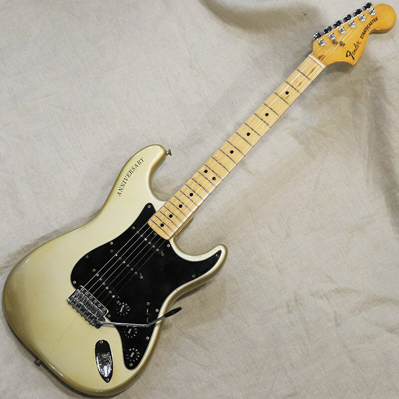 Fender USA Stratocaster 25th Anniversary '79 Silver/M STタイプ (エレキギター)