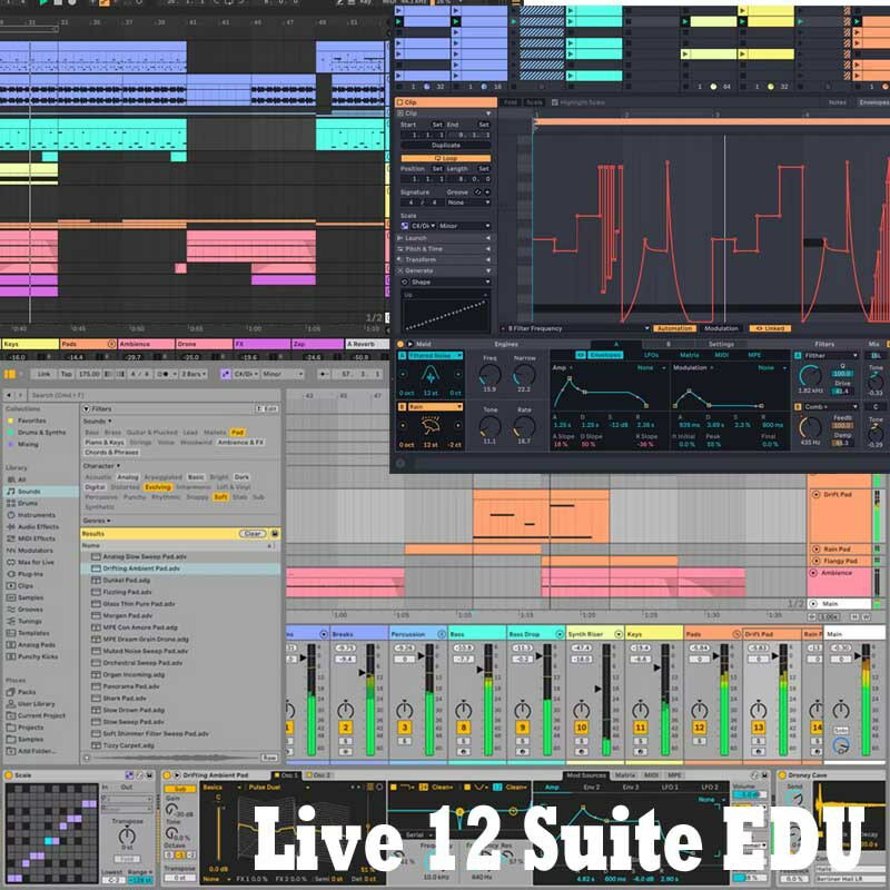 ableton Live 12 Suite EDU ǥߥå (饤Ǽ)(Բ) DAWե DAW (DTM)