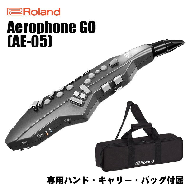 Roland Aerophone GO AE-05【純正バッグ付】(限定特価)【台数限定・交換用マウスピース（OP-AE05MPH）+ウインドシンセスタンドセット】 電子管楽器 (管楽器・吹奏楽器)