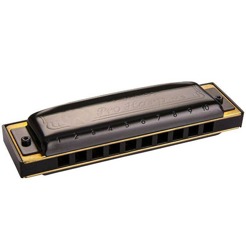 関連商品Hohner/新品 商品一覧＞＞その他楽器【5，000円〜10，000円】 商品一覧＞＞ハーモニカ・ブルースハープ/Hohner 商品一覧＞＞Hohner Pro Harp 562/20MS (キー：F#) ハーモニカ・ブルースハープ (その他楽器)商品説明樹脂ボディでロック、ブルース向けの重厚な仕上げ！ダイアトニックハーモニカ・シングルリードは、世界で最も愛用者の多い10穴のハーモニカで、吹き吸い別のリードが鳴るよう20枚のリードが使用され、固定調です。10穴ハーモニカはそのままテンホールズとも言い、また、代表的な存在であるBlues Harpが代名詞としてこのハーモニカ全体の呼名として使用されることがあります。10穴以外にも12穴、14穴など派生製品があります。商品詳細■キー：F#イケベカテゴリ_その他楽器_ハーモニカ・ブルースハープ_Hohner_新品 SW_Hohner_新品 JAN:4009126634690 登録日:2022/07/10 ハーモニカ ホーナー