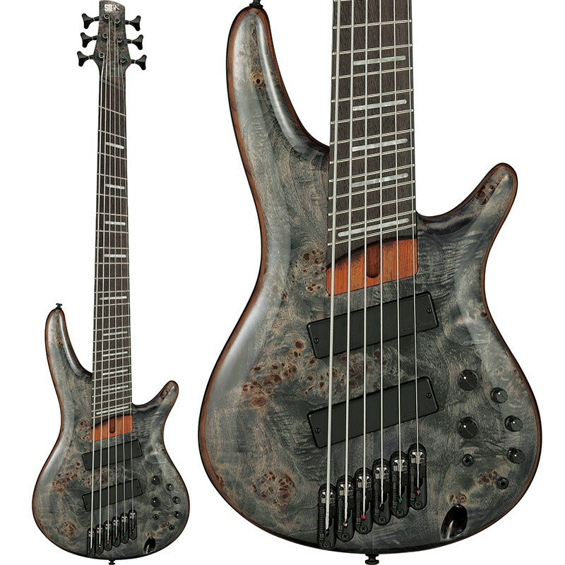 Ibanez Bass Workshop SRMS806-DTW [SPOT MODEL] エレキベース 多弦ベース (ベース)