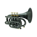 CAROL BRASS N3000 BLK 【Bb ポケット トランペット 】 トランペット ポケトラ・スライド・その他トランペット (管楽器・吹奏楽器)