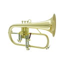 CAROL BRASS N6200 CL 【Bb フリューゲル ホルン】 トランペット フリューゲルホルン (管楽器・吹奏楽器)