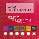 カラコン ワンデー エンジェルカラー デイリーズ プラス (30枚入り)[ 度あり 度なし カラーコンタクトレンズ 1day Angelcolor 星あや メグベイビー ]【即日発送】【送料無料】【在庫限りの販売で終了】