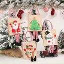 クリスマスオーナメント リンゴ袋 キャンディ袋 クッキー袋 クリスマス ギフト袋 プレゼント袋 ぬいぐるみ 立体 クリスマス飾り 布袋 クリスマス置物 クリスマス雑貨 サンタクロース こども X'mas プレゼント Merry Christmas サンタ イベント 子供用 幼稚園 カートゥーン