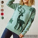 クリスマス衣装 サンタ服 ニット セーター カーディガン レディース 秋冬 サンタ衣装 レッド 長袖 ギフト X'mas 可愛い パーティー イベント Chri...