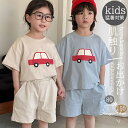 ベビー服 子供服 2点セット 女の子 男の子 兄妹 姉弟 コーディネートセット 半袖 猛暑対策 セットアップ 上下セット ガールズ 綿 安全素材 ベビー2点セット 春夏 子供 カジュアル 通気性 お出かけ 可愛い 誕生日プレゼント 80cm 90cm 100cm 110cm 120cm 130cm 140cm 150cm