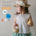 子供シャツ シャツ ベビーシャツ 袖なし レース プリンセス風 高品質 涼しい 猛暑対策 エレガント 大人気 肌触り ベビー服 子供服 プリンセス 女の子 ガールズ キッズ お姫様 ふんわり 発表会 フェアリー 結婚式 通気性 安全素材 可愛い 80 90 100 110 120 130 140 150