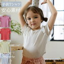 子供Tシャツ Tシャツ 高品質 5色 エレガント 大人気 ベビーTシャツ 半袖 プリンセス風 柔らかい 肌触り ベビー服 子供服 プリンセス 女の子 ガールズ キッズ お姫様 ふんわり 発表会 フェアリー 結婚式 通気性 安全素材 可愛い 誕生日プレゼント90 100 110 120 130 140 150
