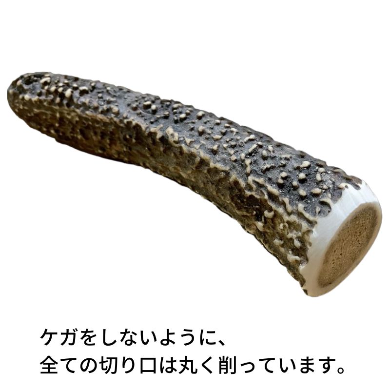 �̳�ƻ�������� 1�ܡ�L������ 20cm ����緿���ѡ� ���߱����Хĥ��� ���Τ������ ���Τ���� ���Υĥ� ̵ź�á�Shicanta �����󥿡�