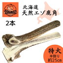 【25cm 特大サイズ 半割り 2本 大型犬用】北海道エゾ鹿角 噛み応えバツグン! 犬のおもちゃ 犬のおやつ 鹿のツノ 無添加 デンタル 口臭対策【Shicanta シカンタ】