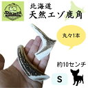 北海道エゾ鹿角 1本【Sサイズ 10cm 小型犬用】 噛み応えバツグン! 犬のおもちゃ 犬のおやつ 鹿のツノ【Shicanta シカンタ】