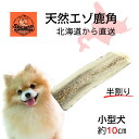 【10cm 半割り 小型犬用 1本】北海道エゾ鹿角 噛み応えバツグン! 犬のおもちゃ 犬のおやつ 鹿のツノ 無添加 デンタル 口臭対策【Shicanta シカンタ】