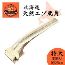 【25cm 特大サイズ 半割り 1本 大型犬用】北海道エゾ鹿角 噛み応えバツグン! 犬のおもちゃ 犬のおやつ 鹿のツノ 無添加 デンタル 口臭対策【Shicanta シカンタ】
