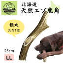 北海道エゾ鹿角 1本【極太 LLサイズ 約25cm 大型犬用】 噛み応えバツグン! 犬のおもちゃ 犬のおやつ 鹿のツノ【Shicanta シカンタ】