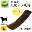 北海道エゾ鹿角 1本【Lサイズ 20cm 中〜大型犬用】 噛み応えバツグン! 犬のおもちゃ 犬のおやつ 鹿のツノ 無添加【Shicanta シカンタ】