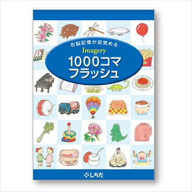 ☆七田式(しちだ)教材☆　1000コマフラッシュDVD☆★