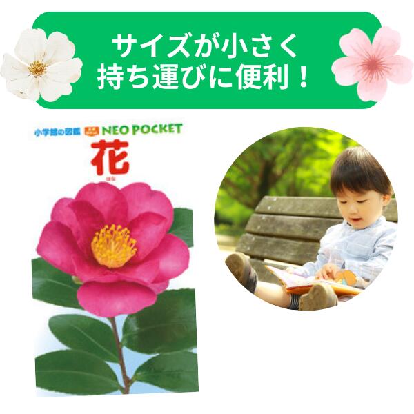 Rakuten - 図鑑 七田式 自然☆花　☆★