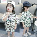 子供服 セットアップ 韓国子供服 キッズ 女の子 上下セット 2点セット トップス 半袖 Tシャツ ストライプ ジャージ 可愛い 春夏 通学着 通園着 パンツ ...