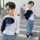 パーカー 男の子 キッズパーカー 長袖 トップス カジュアル スウェット春秋冬 韓国子供服 可愛い おしゃれ カジュアル かっこいい ジュニア服 通学 通園 普...